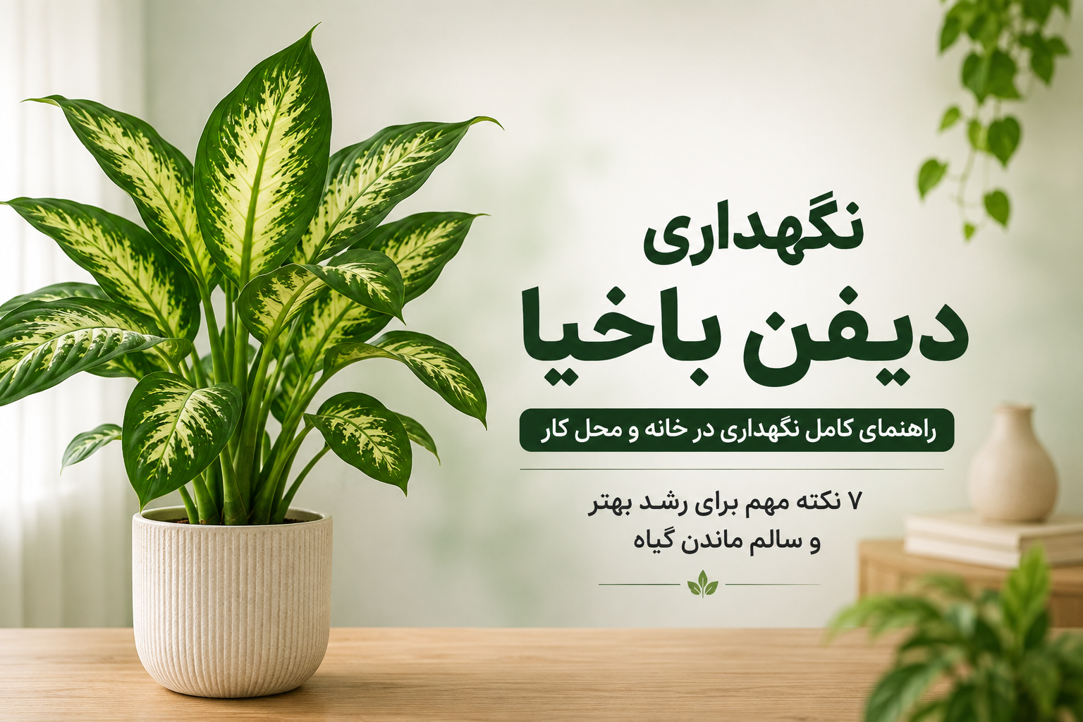 نگهداری دیفن باخیا