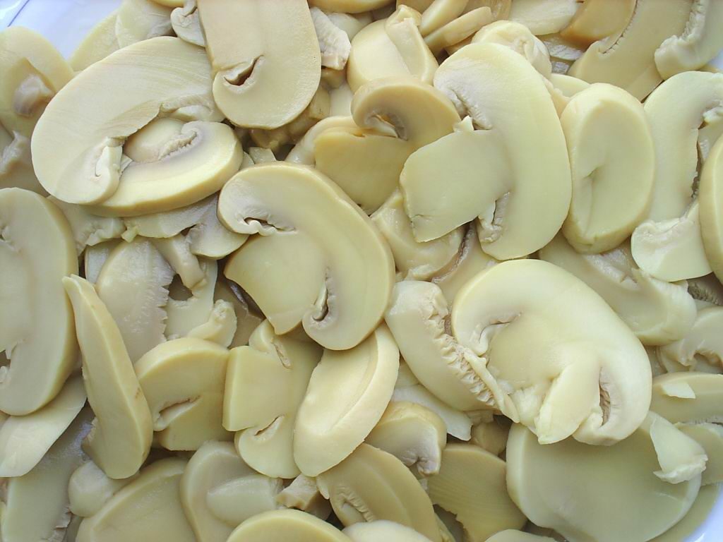 فریز کردن قارچ