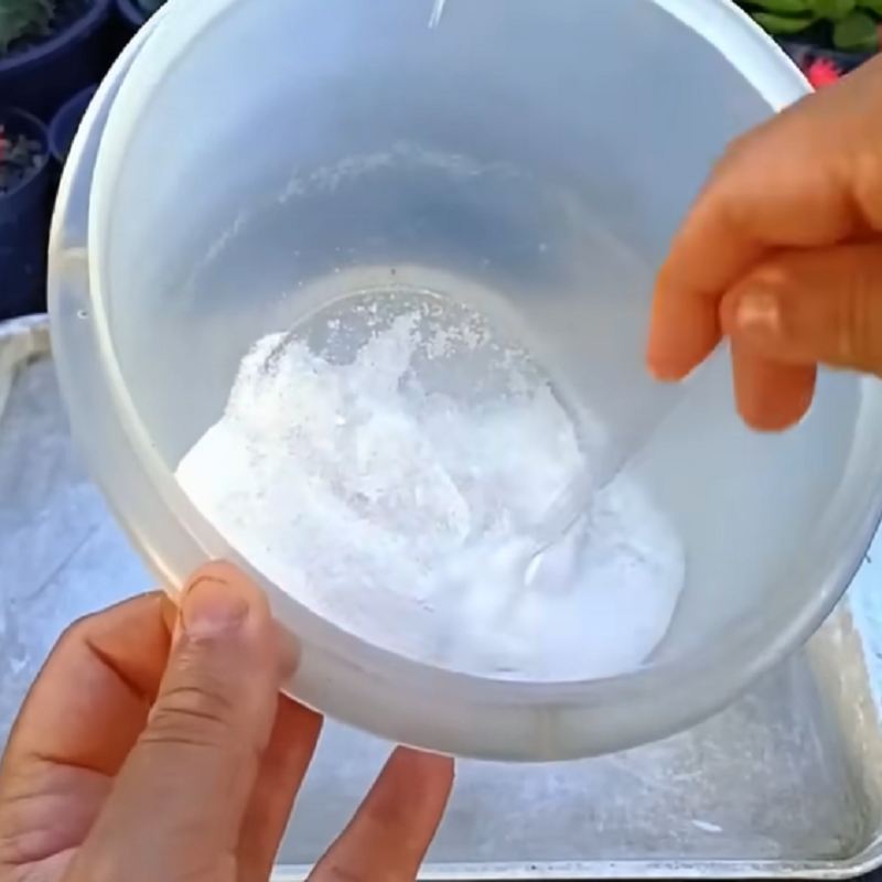 روش تهیه طعمه خانگی برای کنترل سوسک