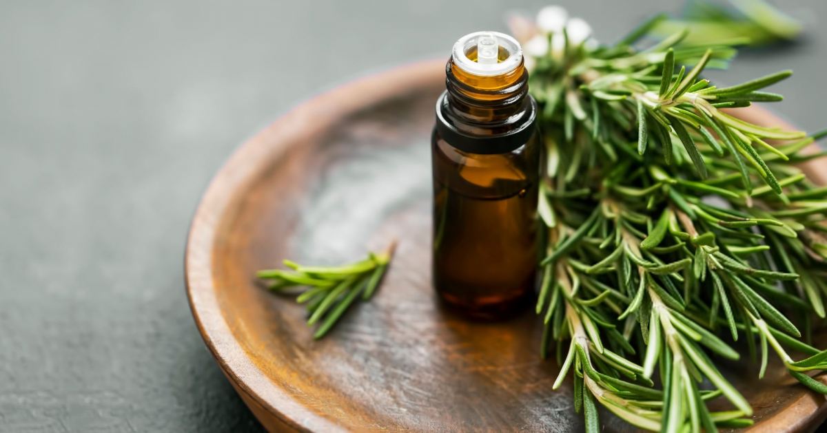 روغن رزماری برای تقویت و پرپشت شدن مو