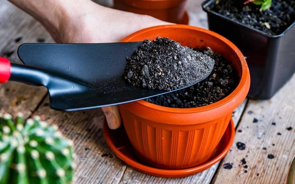 آماده کردن خاک مناسب برای کاشت تربچه در گلدان