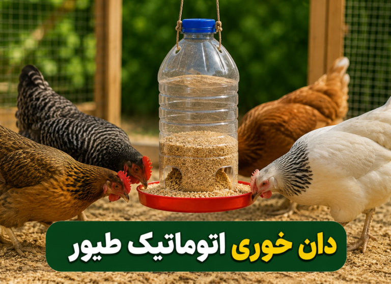 ساخت دان خوری اتوماتیک طیور