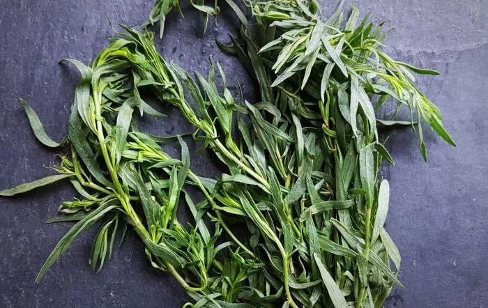 سبزی خیارشور و ترخون برای تهیه خیارشور خانگی