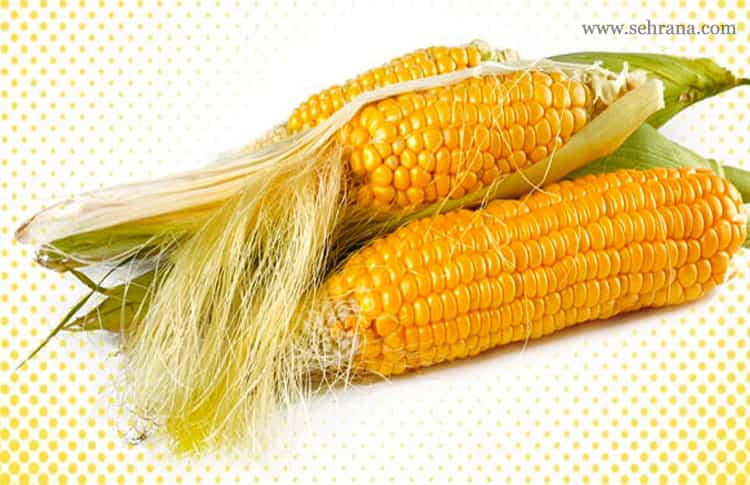 خواص موهای ذرت