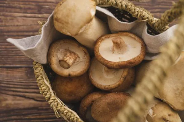 نگهداری قارچ تازه در یخچال