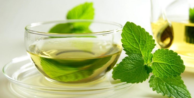عرق نعنا
