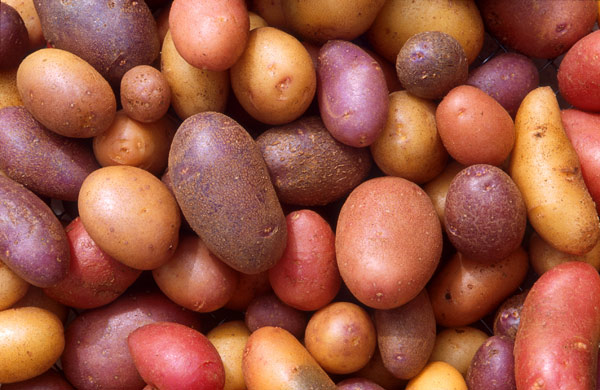 سیب زمینی برای متعادل کردن شوری غذا