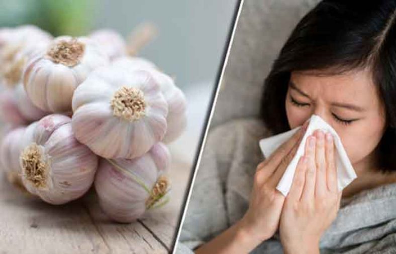 سیر و عسل برای روزهای سرماخوردگی