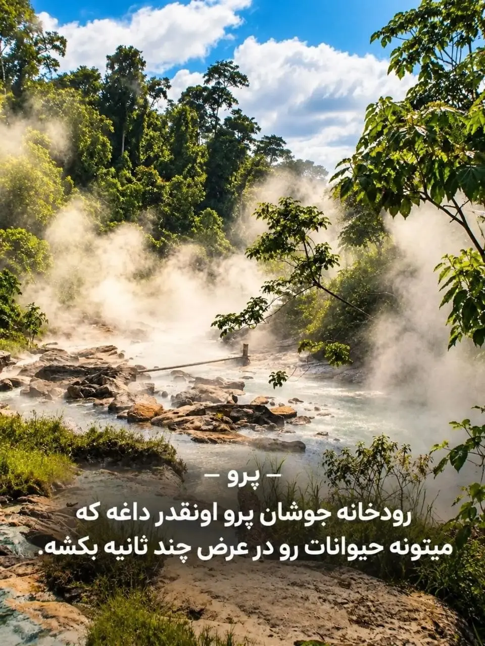 رودخانه جوشان پرو در جنگل آمازون