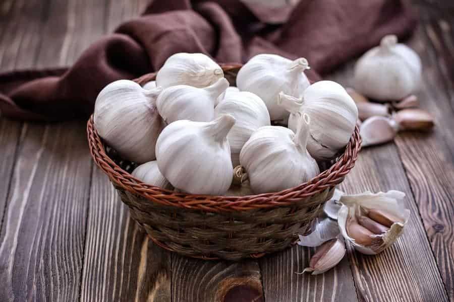 آب سیر