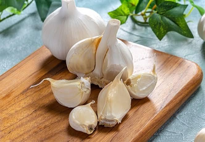 سیر تازه و خواص آب سیر