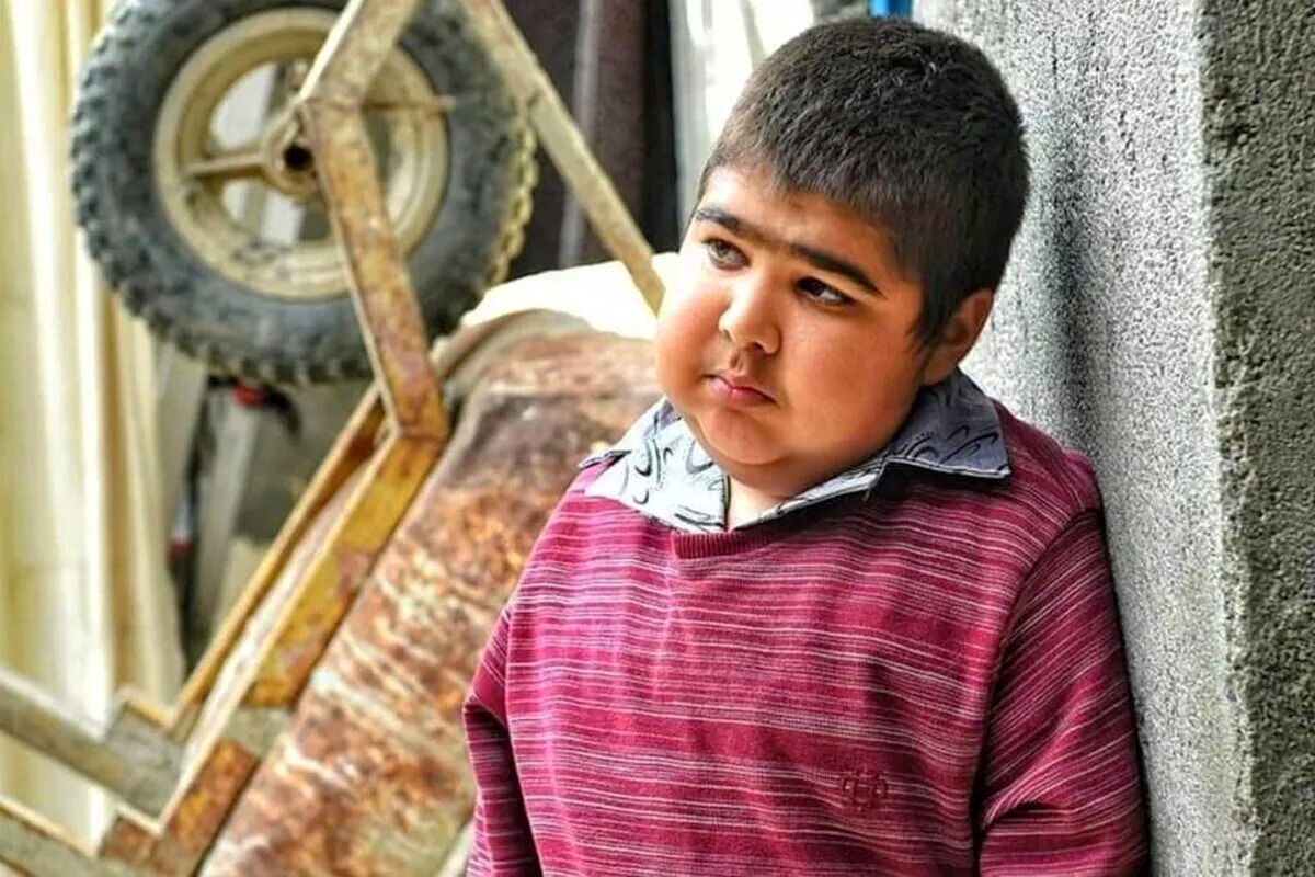 حمیدرضا حافظ شجری